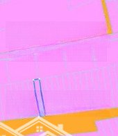Bán Đất Chính Chủ Tân Hòa - Phú Mỹ, Giá Bao Thị Trường