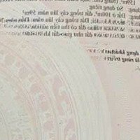 Bán Đất Chính Chủ Tân Hòa - Phú Mỹ, Giá Bao Thị Trường