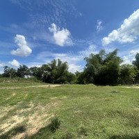Chính Chủ Bán 2600M2 Đất Trồng Cây Lâu Năm Khánh Bình View Sông (Tcln), Liên Hệ: 0932166867