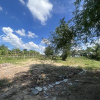 Chính Chủ Bán 2600M2 Đất Trồng Cây Lâu Năm Khánh Bình View Sông (Tcln), Liên Hệ: 0932166867