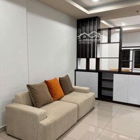 Cho Căn Hộ Tdc Tp Mới Bình Dương, Thủ Dầu Một