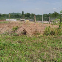 Bán Lô Đất Tân Hòa Phú Mỹ Mặt Tiền Đường Nhựa Thông Thoáng.
