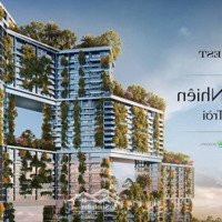 Bán Nhanh Căn 2 Phòng Ngủở Sky Forest Ecopark Chênh So Với Hđmb Thấp Nhất Ecopark Chỉ 270 Triệu Bp Tầng Trung