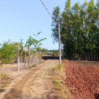 1,35 Tỷ Cho 1.607M2 (1 Công 6), Mt.25M, Dài 65M, Hướng Đông, Đs24, Gần Chợ Khu 10