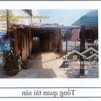 Bán Đấu Giá 76,1 M2 Đất Tại Thôn 3, Xã Tiên Thọ, Huyện Tiên Phước, Tỉnh Quảng Nam