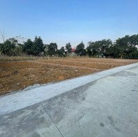 Cần Bán Gấp Đất Tại Xã Phú Thành, 120M2 Đẹp, Sát 2 Khu Công Nghiệp