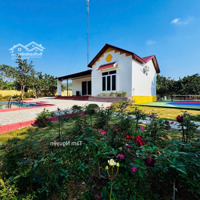 Bán Khu Villa Hơn 3000 M2 Vừa Hoàn Thiện Xong Còn Mới Tinh Chờ Chủ Mới Bóc Tem Tại Cao Phong