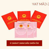 79 căn suất nội bộ đã có sổ chiết khấu 13% Dự án Kiều By Kita 927 Trần Hưng Đạo, Q.5