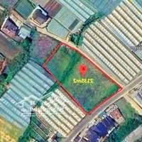 Đất Biệt Thự Mặt Tiền Đường Chính Đankia - P7 - Tp Đà Lạt. Giá: 22.5 Tỷ
