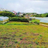 Đất Biệt Thự Mặt Tiền Đường Chính Đankia - P7 - Tp Đà Lạt. Giá: 22.5 Tỷ