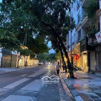 Bán Đất Phố Lê Hồng Phong, Ba Đình 150M2,Mặt Tiền8M, Giá Bán 33 Tỷ. Giá Tốt Đầu Tư.