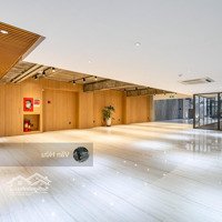 Góc 2 Mặt Tiền Lý Thường Kiệt, Q. Tân Bình - Dt: 17X25M - 4 Tầng - Hđt: 350 Triệu - Giá Bán: 80 Tỷ