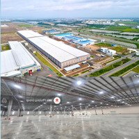 Cty Hoa Phượng Cho Thuê Kho, Xưởng Các Kcn Vsip, Bắc Ninh (2000M2 50.000M2)