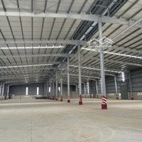 Cho Thuê Kho Xưởng Khu Vực Long An - Xưởng Mới , Diện Tích : 30.000M2 - 50.000M2