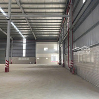 Cho Thuê Kho Xưởng Khu Vực Long An - Xưởng Mới , Diện Tích : 30.000M2 - 50.000M2