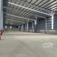 Cho Thuê Kho Xưởng Khu Vực Long An - Xưởng Mới , Diện Tích : 30.000M2 - 50.000M2