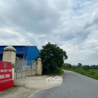 Bán 5 Nhà Xưởng Đang Hoạt Động Cho Thuê Tại Hải Phòng
