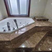 Chính chủ gửi cho thuê biệt thự ven sông Sài Gòn đường Trần Não Quận 2