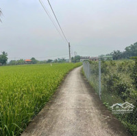 Cho Thuê Đất Công Nghiệp 5.000M2 - 30.000M2 Tại Kcn Long Hậu - Cần Đước, Long An