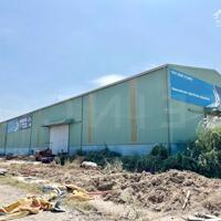 Cho thuê kho xưởng 1.512m² có điện 3 pha, trong khu công nghiệp Sông Hậu gần cảng VIMC, X. Đông Phú, H. Châu Thành, T. Hậu Giang, lộ Container