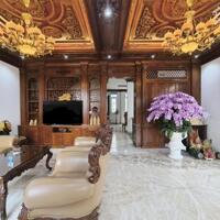 KHU HIẾM NHÀ BÁN, BIỆT THỰ KHU BIỆT LẬP CITYLAND GARDEN HILLS 180M2(9X20) 5 TẦNG. GIÁ OK