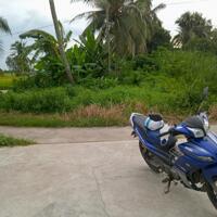 Bán đất nền đã lên thổ cư Hưng Hội, Vĩnh Lợi.