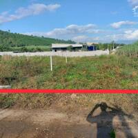 Bán mảnh đất tâm huyết 186m2 full thổ cư giá rẻ 500 triệu
