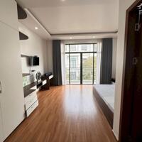 Chính chủ cho thuê nhà biệt thự 6 phòng ngủ tại KĐT Vinhomes Marina Hải Âu 2.19
