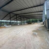 Cho Thuê 14.500m2 Kho Xưởng Mới 100% Tại Phú Giáo Bình Dương