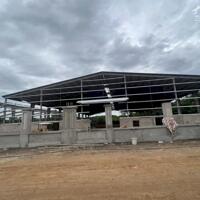 Cho Thuê 3.600m2 Nhà Xưởng Mới 100% Tân Uyên Bình Dương Giấy Tờ Đầy Đủ