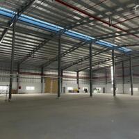 Cho Thuê 2.200m – 3.000m2 – 6.600m2 Xưởng Mới Ngoài KCN Bàu Bàng Bình Dương