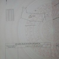 [Bán] Dự Án Trang Trại Chăn Nuôi Lợn Nái Sinh Sản Được Ubnd Daklak Cấp Phép Triển Khai