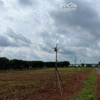 Bán Đất Nghỉ Dưỡng Ven Hồ Sông Ray View Đẹp, Đầu Tư Sinh Lời