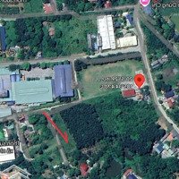 Bán Trang Trại, Lương Sơn, Hòa Bình, 6 Tỷ, 1278 M2, Chính Chủ Hot!