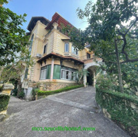 Biệt Thự Rộng Hơn 1000M2 Có Bể Bơi Tuyệt Vời Cho Thuê Ở Long Biên Ở, Nhà Hàng, Trường Học