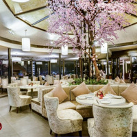 Mặt Bằng Đẹp Vị Trí Hút Khách Gần Nhiều Điểm Khách Tham Quan, Vị Trí Mặt Đường Hai Bà Trưng