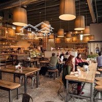 Cho Thuê Nhà Khu Phố Duy Tân, Diện Tích: 210M2, Mặt Tiền Siêu Rộng 15M, Mặt Bằng Hiếm Có Khó Tìm