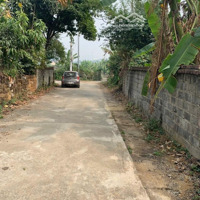 Chỉ Hơn 10 Triệu.diện Tích345M Đường To Mặt Tiền Rộng Sát Trục Chính Phú Mãn Quốc Oai