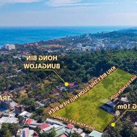 Bán Lô 300M2 Hẻm 8M Phố Du Lịch Trần Hưng Đạo, Xây Biệt Thự, Homestay Quá Đẹp. Giá F0