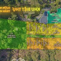 Bán Lô 300M2 Hẻm 8M Phố Du Lịch Trần Hưng Đạo, Xây Biệt Thự, Homestay Quá Đẹp. Giá F0