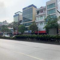 Bán nhà phố Nguyễn Hoàng, 80m 7 tầng thang máy, cho thuê cao, giá 44 tỷ
