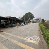 Bán Đất Sát Vin Cổ Loa Đường 5M Ngõ Thông Sát Đường Quy Hoạch 40M Vài Bước Chân