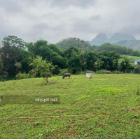 Bán Hơn 2600 M2 Bám Sông Xanh Mướt, Sát Khu Homestay Tại Cao Phong, Hb Giá Chỉ 2,X Tỷ