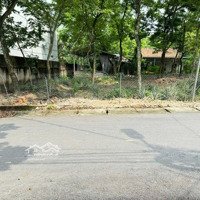 Đất Nền View Đồng,Mặt Tiềnkinh Doanh, Vị Trí Vàng Tại Bảo Phác, Hợp Châu, Tam Đảo, Vĩnh Phúc