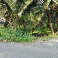 Bán Gấp 4 Công Đất Mỹ Phong. Đất Tp Mỹ Tho Giá Rẻ Hơn Tân Phước