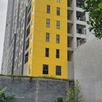 Bán Đất Tại Mỳ Hòa Hợp, Dĩ An, Bình Dương, Giá Cực Chất 3,6 Tỷ, 76M2