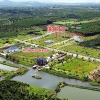Sát Ngay Quốc Lộ 20, Kẹt Tiền Bán Gấp 543M2 Sẵn Thổ Cư Tứ Quý Lộc An Giá Ngộp Chỉ 600 Triệu