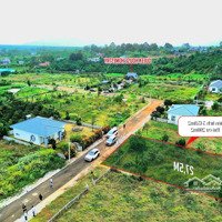 Sát Ngay Quốc Lộ 20, Kẹt Tiền Bán Gấp 543M2 Sẵn Thổ Cư Tứ Quý Lộc An Giá Ngộp Chỉ 600 Triệu