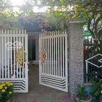 Bán 160M2 Đất Thổ Cư Và Cây Lâu Năm Có Sẵn Nhà, Chính Chủ, Hàm Chính, Hàm Thuận Bắc, Bình Thuận