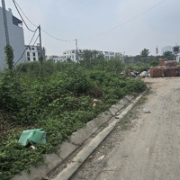 Bán Lô Góc Đất Dịch Vụ Di Trạch, Huyện Hoài Đức